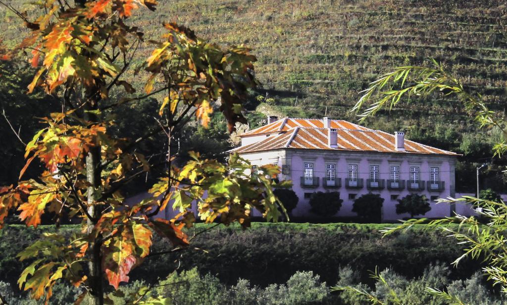 Casa Dos Varais, Manor House Lamego Exterior foto